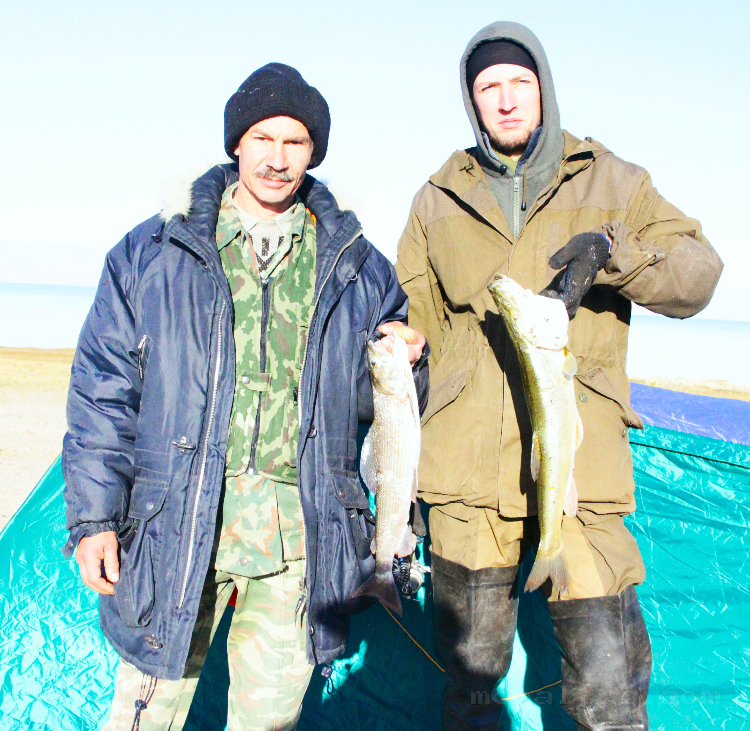 Grayling and Osman Fish at Achit Lake