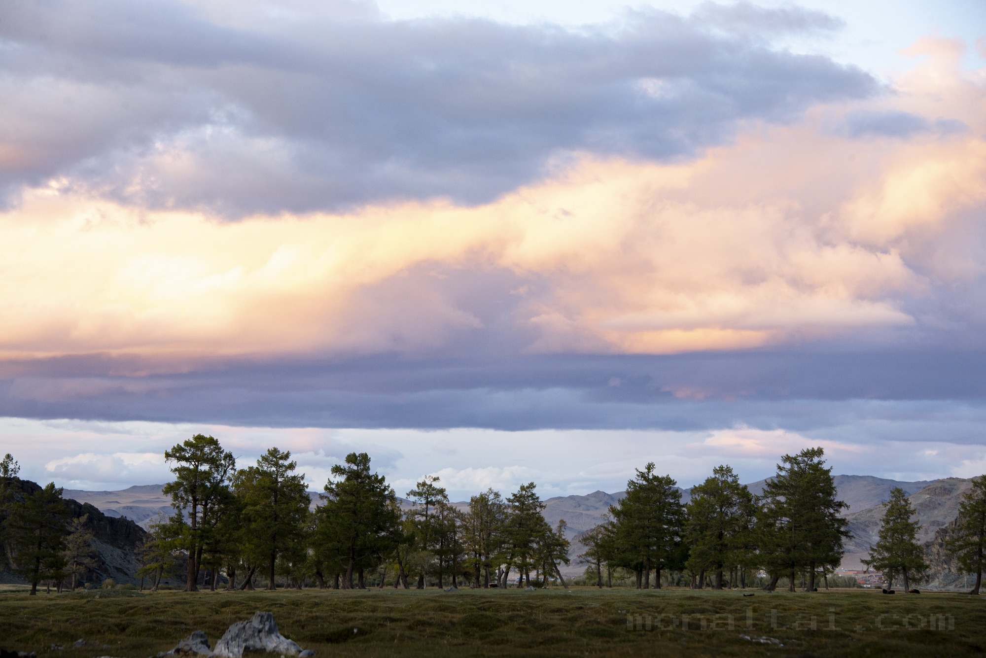 Photo DSC_0323