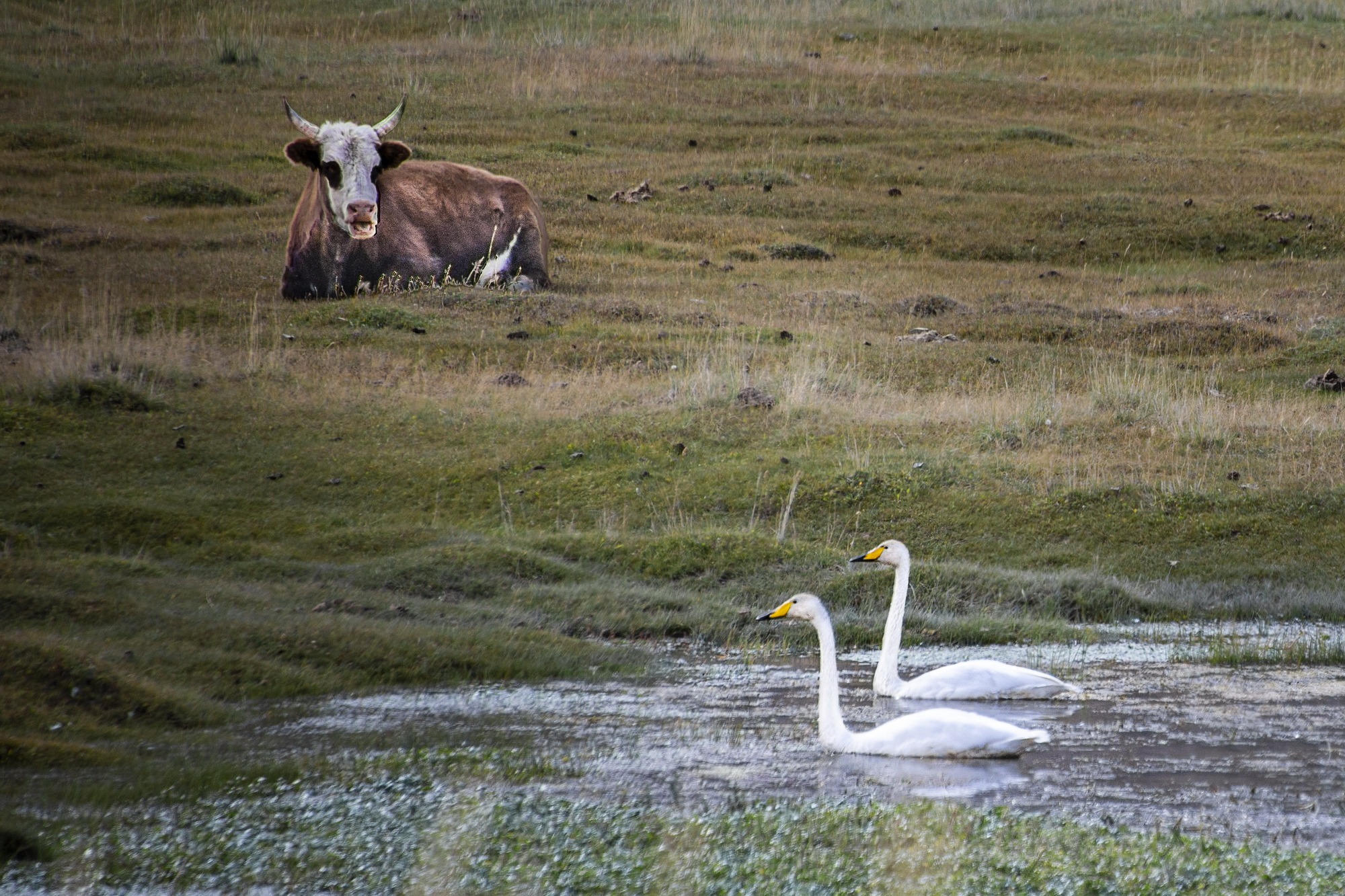 Photo DSC_0305