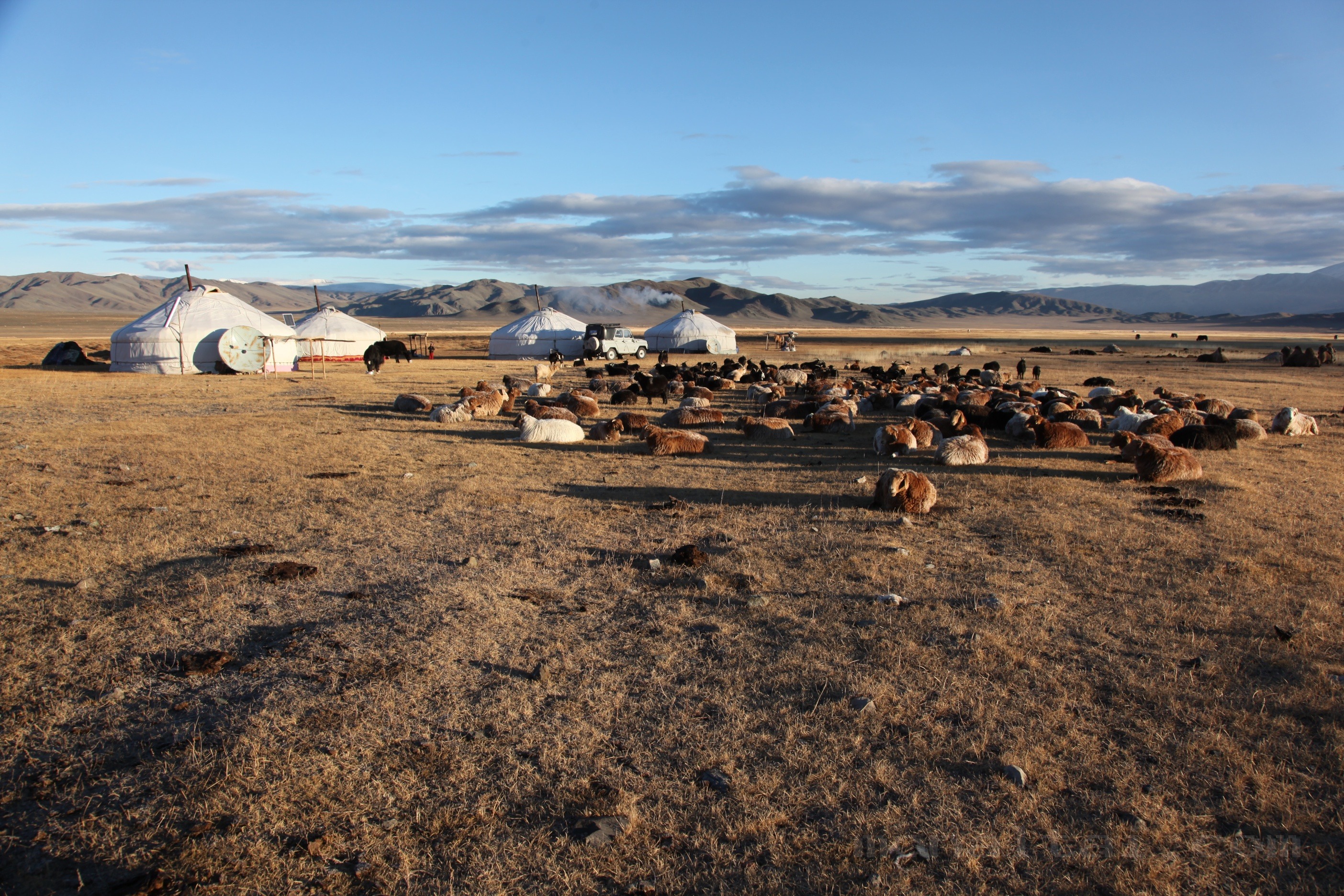 NOMADIC FAMILY HOMESTAY