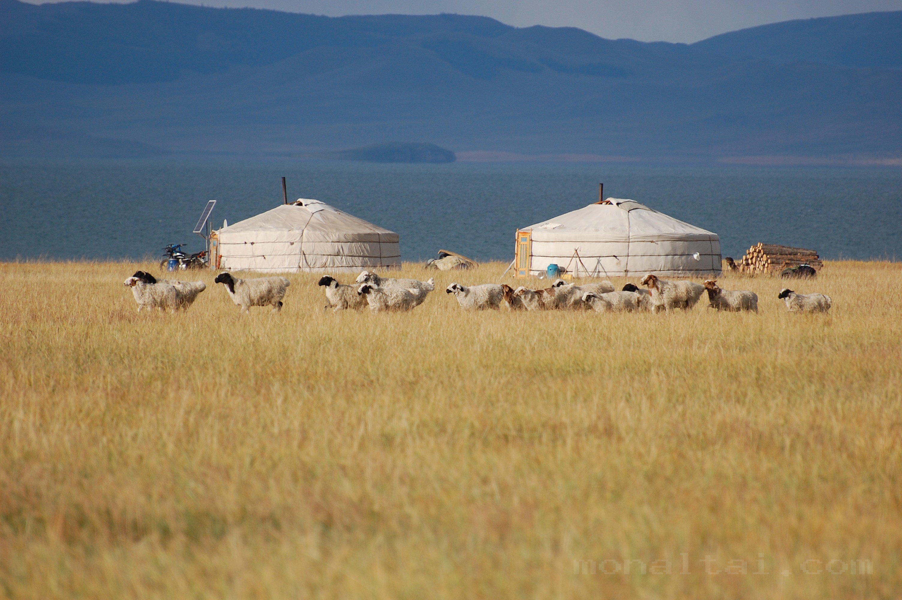 WESTERN MONGOLIA PHOTOGRAPHY TOUR photo 5