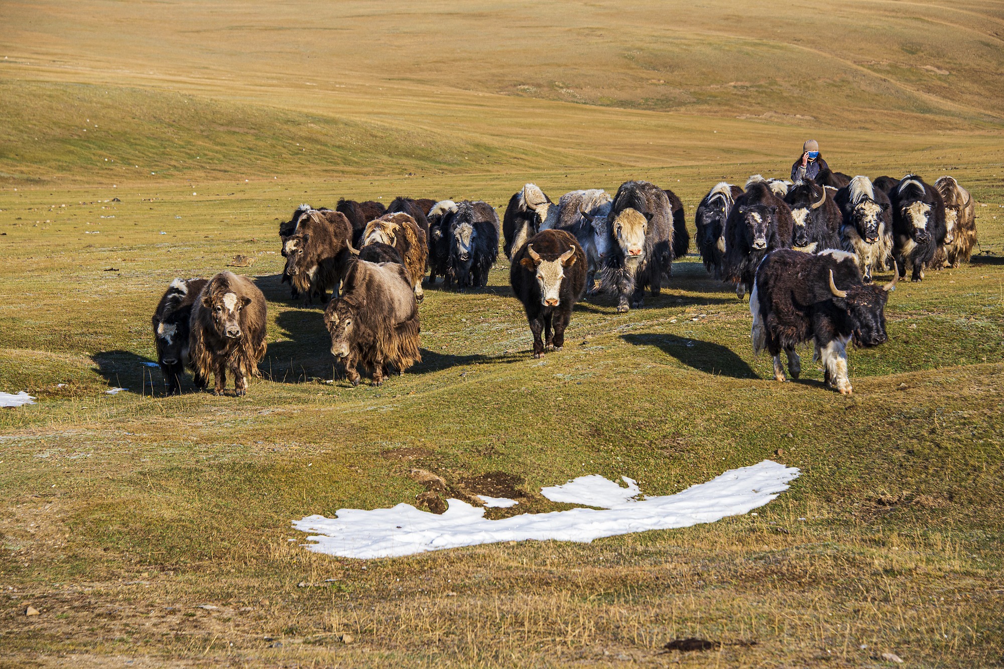 WESTERN MONGOLIA PHOTOGRAPHY TOUR photo 10