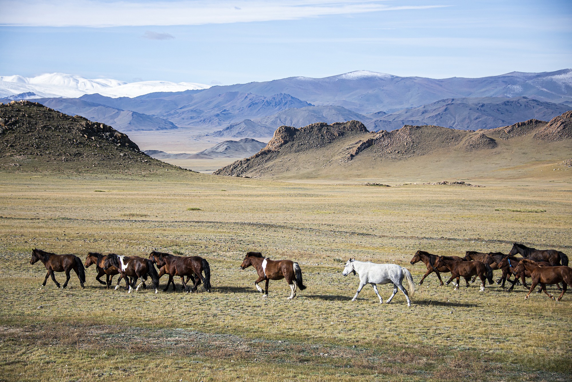WESTERN MONGOLIA PHOTOGRAPHY TOUR photo 12