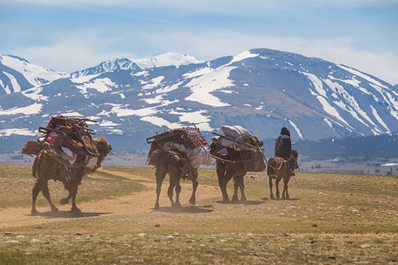 WESTERN MONGOLIA PHOTOGRAPHY TOUR photo 24